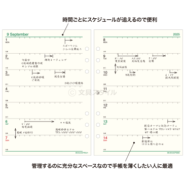 【2020年版リフィル Davinci】【メール便対象】システム手帳 リフィル 2020年版 ダ・ヴィンチ A5 週間-3 見開き両面2週間 1月/4月始まり両対応 (DAR2003)