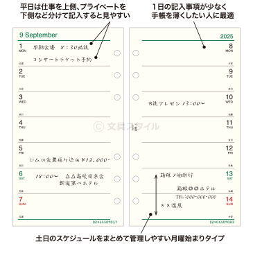 【2020年版リフィル Davinci】【メール便対象】システム手帳 リフィル 2020年版 ダ・ヴィンチ バイブル 週間-5 見開き両面2週間 1月/4月始まり両対応 (DR2015)