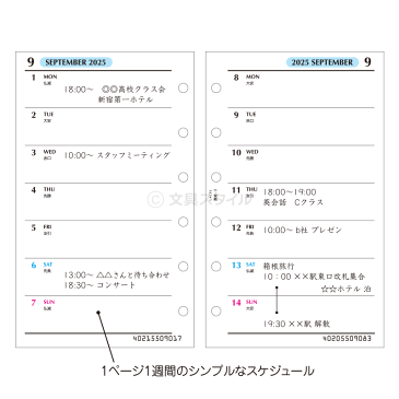 【2020年版リフィル Lacee】【メール便対象】システム手帳 リフィル 2020年版 ラセ ポケット ミニ6穴 週間-3 見開き両面2週間 1月/4月始まり両対応 (LAR2082)