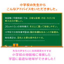 ＼Point5倍／【地球儀】【ラッピング無料】先生オススメ！小学生の地球儀・行政タイプ 20cm球 メーカー直販 最新レイメイOYV11 子供用 ひらがな 誕生日 入学祝い Xmasプレゼント 2024/04 3