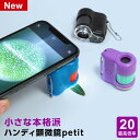 \望遠鏡当たる/【学習用顕微鏡】ハンディ顕微鏡petit(プチ)20倍 LEDライト UVライト スマホ撮影 小学生 子供用 自由研究 観察ノートダウンロード RXT1142 (メール便対象1個まで)