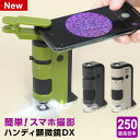 \本日Point5倍 LINE登録で割引中/【学習用顕微鏡】自由研究に!ハンディ顕微鏡DX RXT1144 小学生 中学生 子供用 100〜250倍ズーム スマホ撮影用アダプター付 観察ノート、ダウンロード配布中 Xmas