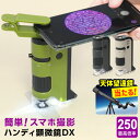 \本日Point5倍 望遠鏡当たる/【学習用顕微鏡】ハンディ顕微鏡DX 100~250倍ズーム LEDライト UVライト 透過/落射 スマホ撮影 アダプター 小学生 中学生 子供用 自由研究 観察ノートダウンロード RXT1144