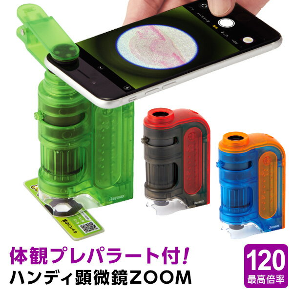 ＼本日Point5倍 LINE登録で100円OFF／【学習用顕微鏡】自由研究に！小学生 中学生 子供用 ハンディ顕微鏡ZOOM ミクロ体観セット 60〜120倍ズーム スマホ撮影用アダプター、体観プレパラート付 観察ノート、ダウンロード配布中のサムネイル