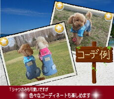 【訳あり】【B級品】【アウトレット】爽やかマリンTシャツ☆【小型犬用】【犬服】【激安】【RCP】