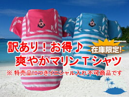【訳あり】【B級品】爽やかマリンTシャツ☆【小型犬用】【犬服】【激安】【RCP】