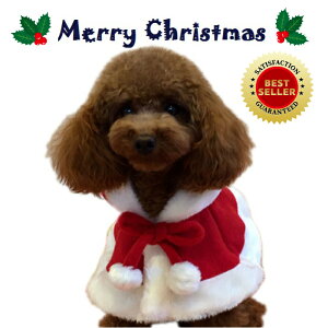 【2022】愛犬とクリスマスを楽しむ！人気の小型犬コスプレ衣装を教えて！