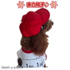 https://thumbnail.image.rakuten.co.jp/@0_mall/teddy-kanon/cabinet/06677930/1bn612.jpg