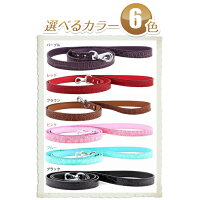 【メール便OK】愛犬のお名前入り首輪専用リード(全6色)【小型犬・中型犬用】