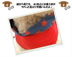 【メール便OK】☆春物新作☆【TEDDY&KANON】スターフードくまさんパーカー☆犬服犬用【小型犬〜中型犬用】【チワワ・ダックス・プードル、キャバリア、柴犬etc】【RCP】