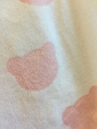 【期間限定特価中♪】☆新作☆TEDDY&KANONフェイスタオルピンクくま
