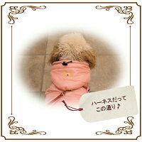 【メール便1枚のみ可能】【TEDDY&KANON】新作☆あったか多機能ダウン風ジャケット犬服犬用防寒着【小型犬〜中型犬用】【チワワプードルダックスキャバリアコーギー柴犬】【RCP】