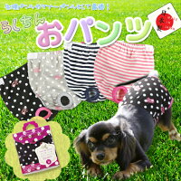 【あす楽対応:メール便不可】犬服【日本製】マナーパンツ生理パンツ介護用おでかけ用犬服犬用激安【チワワ・ダックス・プードル小型犬用】【RCP】