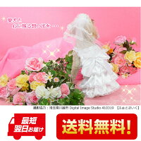 【送料無料】【日本製】【TEDDY&KANON】犬服スペシャルウェディングドレス☆犬用ドレス【小型犬〜中型犬用】【チワワ・ダックス・プードルetc】【RCP】