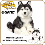 ��Webkinz�ۥ����֥��󥺥����͡����㡼���٥ꥢ��ϥ�����