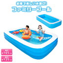 ビニールプール 大型プール 子供用 家庭用プール 庭 ベラン...