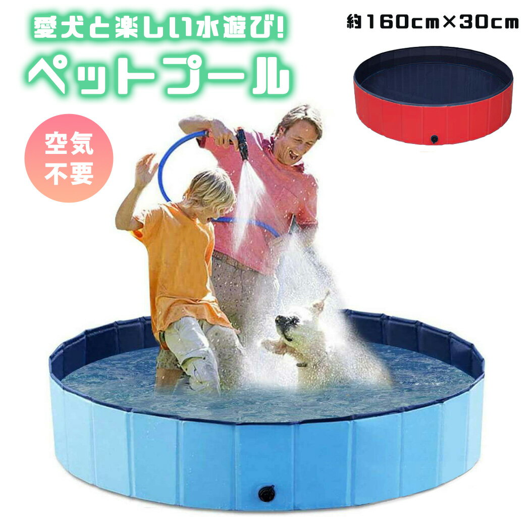 ペット用プール おもちゃ 水遊び 折