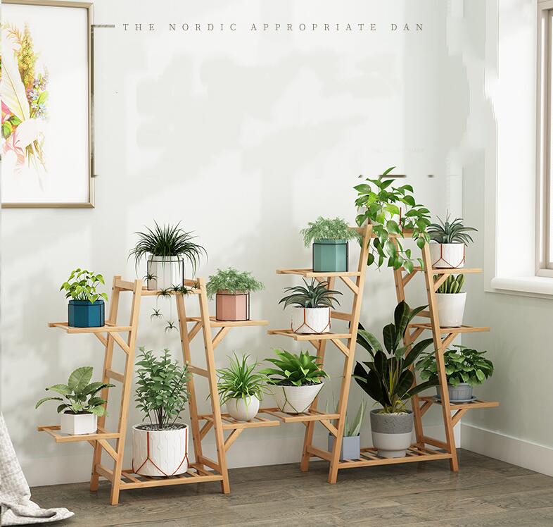 楽天市場】苗 多肉植物（フラワースタンド・園芸ラック｜ガーデニング