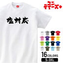 【塩対応】 おもしろ ネタ ギャグ ウケ狙い 面白い ふざけ ジョーク お笑い ユーモア 筆文字 半袖 Tシャツメンズ レディース ユニセックス ホワイト ブラ...