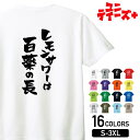 【レモンサワーは百薬の長】 酒 お酒 宴会 飲み会 乾杯 アルコール 飲み屋 居酒屋 レモンチューハイ おもしろ ネタ 筆文字 半袖 Tシャツメンズ レディース...