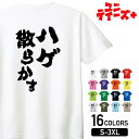 【ハゲ散らかす】 ハゲ はげ 薄毛 AGA 筆文字 おもしろ ネタ 半袖 Tシャツメンズ レディース ユニセックス ホワイト ブラック グレー レッド ピンク ...