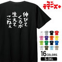 【伸びてくるが生えてこねぇ】 ハゲ はげ 薄毛 AGA ゆる文字 おもしろ ネタ 半袖 Tシャツメンズ レディース ユニセックス ホワイト ブラック グレー レ...