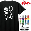 【ハゲの心 毛知らず】 ハゲ はげ 薄毛 AGA ゆる文字 おもしろ ネタ 半袖 Tシャツメンズ レディース ユニセックス ホワイト ブラック グレー レッド ...