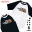 Tシャツ ラグラン半袖 THE WANKO FACE ザ ワンコ フェイス 土佐闘犬 ロゴ 犬好き 犬 いぬ イヌ ドッグ メンズ ユニセックス プレゼント おもしろ グッズ ギフト 2,380円
