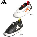 アディダス KTJ10 アディゼロ ボールケース ゴルフボールケース