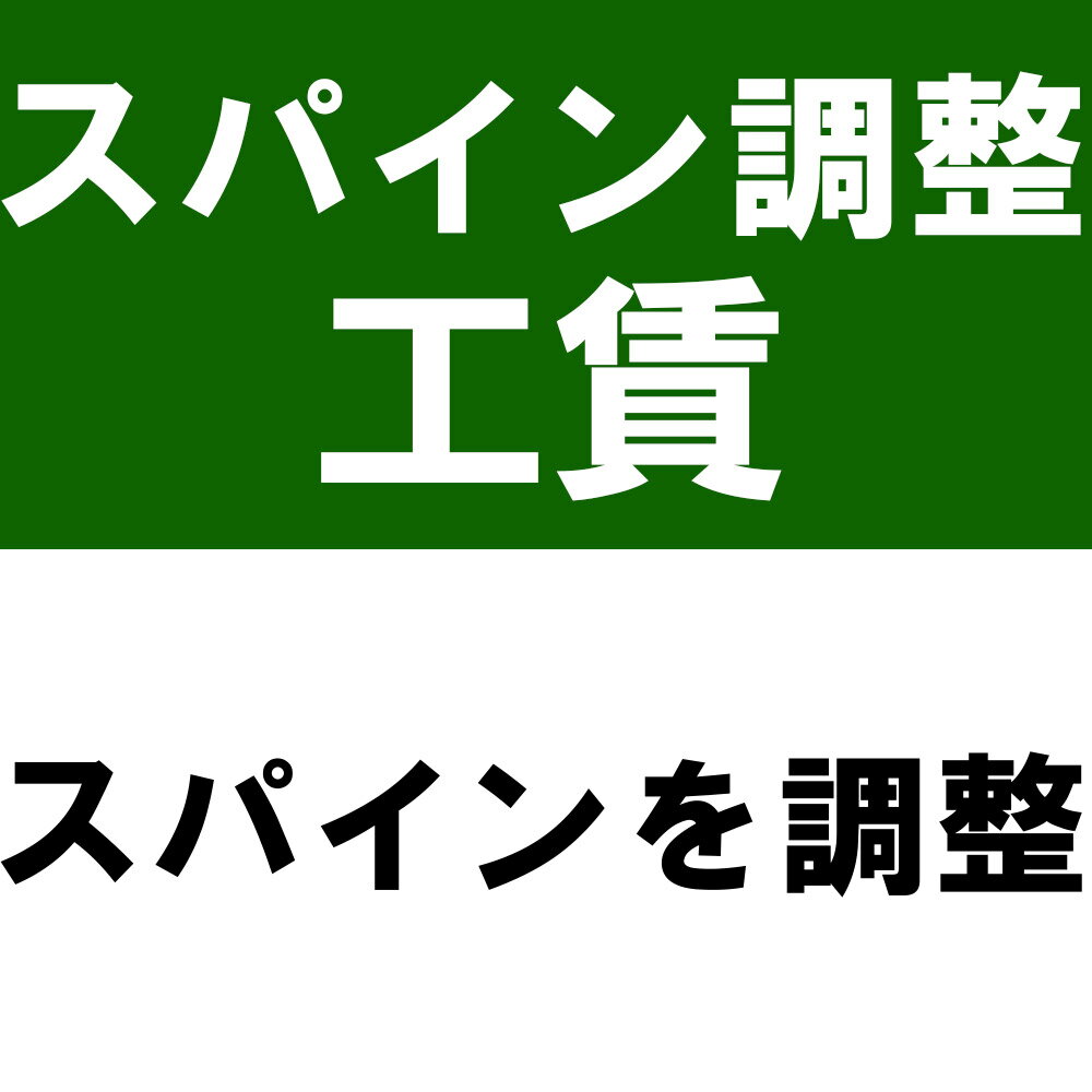 スパイン調整工賃※本数分ご購入ください