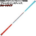 Lynx リンクス アシンメトリースティック ショートタイプ ASYMMETRY STICK スイング練習 TEACHING PRO