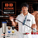 Lynx リンクス BB スティック BB STICK スイング練習 TEACHING PRO3