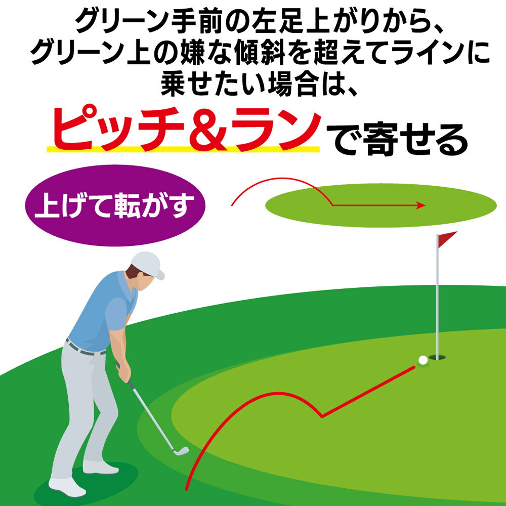 【ゴルフ感謝祭エントリーでP3倍】【ヘッド単体】Kasco DOLPHIN PITCH ＆ RUN WEDG...