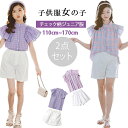 2024新品 韓国子供服 子供服 女の子 セットアップ 半袖tシャツ ショートパンツ 上下2点セット フリル袖 チェック柄 可愛い キッズ服 女児服 ツーピースセット カジュアル セット パンツスーツ 通学 普段着 パーティー 洋服 夏服 ジュニア服 夏 110 120 130 140 150 160 170