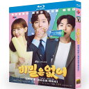 韓国ドラマ 韓国語 日本語字幕付き「秘密はない/正直にお伝えします!?」 DVD BOX Blu-ray コ・ギョンピョ、カン・ハンナ 主演 全話収録