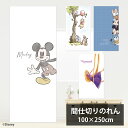 ディズニー 間仕切り カーテン かわいい 目隠し のれん 暖簾 子供部屋 Disney ディズニープリンセス プリンセスルーム プリンセス 4柄 2サイズ 100cm×180cm 100cm×250cm くまのぷーさん ミッキーフレンズ ミッキー ラプンツェル カット可能 Mickey Minnie キャラクター