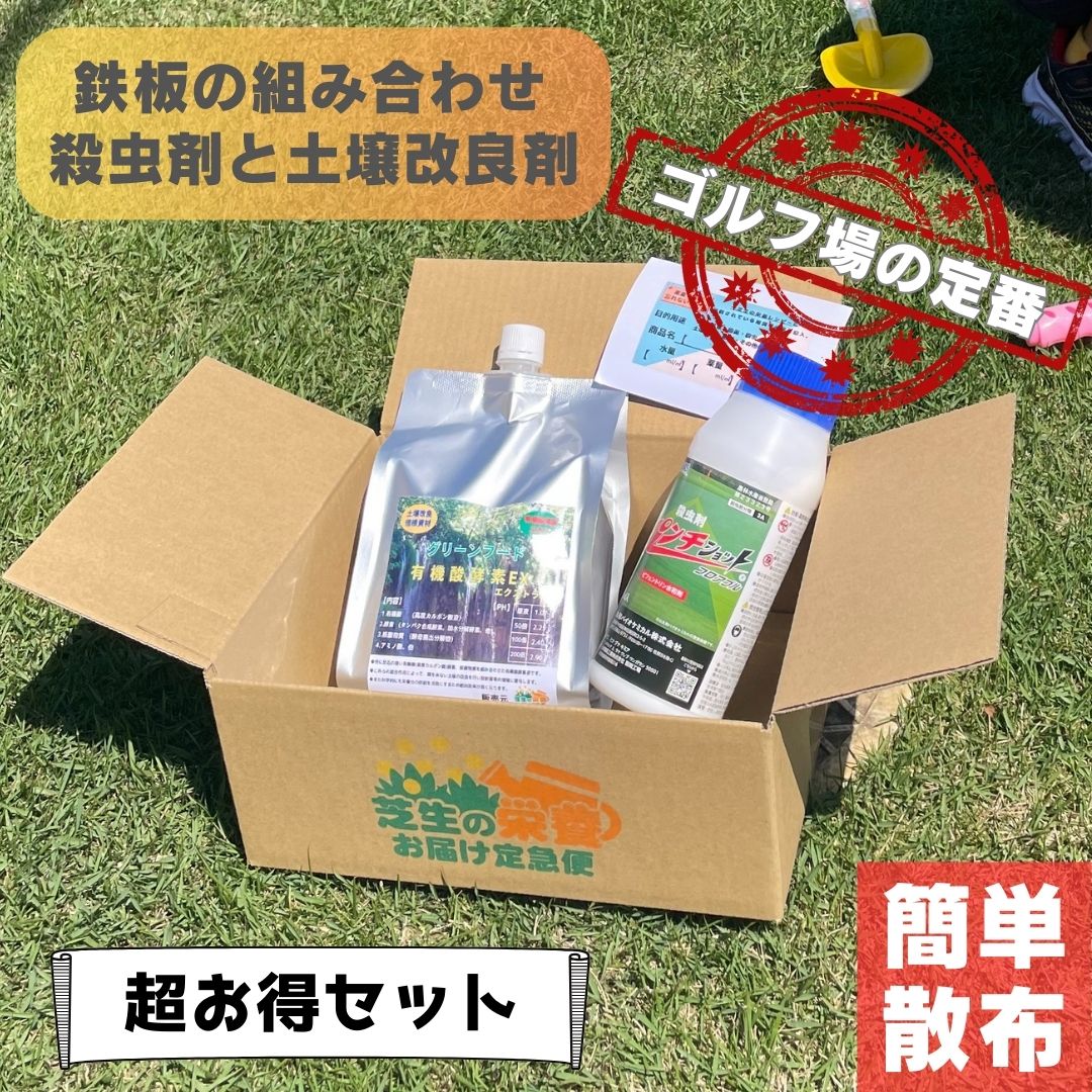 肥料と殺虫剤 芝生用活性剤 土壌改良材 グリーンフード有機酸酵素EX 1000ml 1L サッチ分解 病害対策 病気回避 ph調整芝生 殺虫剤 パンチショットフロアブル 500ml ケラ スジキリヨトウ シバツトガ 高麗芝 野芝 ベント 害虫 普通