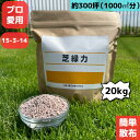 【送料無料】ゴルフ場 芝緑力 20キロ 芝生 肥料 芝 芝生用肥料 20kg 芝生の肥料 化成肥料 15-3-14 細粒タイプ 窒素肥料 粒状 緩効性肥料 フェアウェイ用 芝のお手入れ 芝生手入れ 窒素 芝生 専用 高度 化成 緑 緩効性の化成肥料 緩効性化成肥料 追肥 水溶性 すぐ溶ける プロ