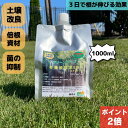 【3日20時よりPT2倍!】グリーンフード 有機酸酵素EX 1000ml 芝生用活性剤 土壌改良材 1L サッチ分解 病害対策 病気回避 ph調整 ゴルフ場 芝 有機肥料 芝生 活性化 病気 元気 活力剤 土壌改良剤 藻 苔 PH調整 酵素 無農薬 オーガニック 定期 散布 安全 芝生の肥料 土壌改良
