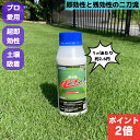 【3日20時よりPT2倍!】パンチショットフロアブル 500ml 芝生用殺虫剤 ケラ スジキリヨトウ シバツトガ 害虫 速効性 残効成 高麗芝 高麗芝生 野芝 農薬 ベントグラス 害虫 駆除 普通物 ゴルフ場 芝 害虫対策 芝生 殺虫 殺虫剤 吸着 安全 プロ仕様 害虫駆除 簡単散布