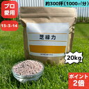 【3日20時よりPT2倍!】ゴルフ場 芝緑力 20キロ 芝生 肥料 芝 芝生用肥料 20kg 芝生の肥料 化成肥料 15-3-14 細粒タイプ 窒素肥料 粒状 緩効性肥料 フェアウェイ用 芝のお手入れ 窒素 チッソ 芝生 専用 高度 化成 緑 緩効性肥料 緩効性化成肥料 追肥 水溶性 すぐ溶ける プロ