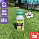 【16日2時までPT2倍】芝生用殺虫剤 フルスウィング 100g コガネ ムシ スジキリヨトウ