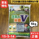 【3日20時よりPT2倍!】肥料 芝生 ゴルフ場 芝生の栄養V 5キロ 芝生の肥料 芝 芝生用肥料 細粒タイプ 追肥 水溶性 天然 ゴルフ場専用 15-3-14 苦土入り 緩効性 化成肥料 粒状 窒素 チッソ 緩効性肥料 マグネシウム カリウム 成長 緑 高度 化成 天然芝生 天然芝 用 専用
