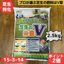 【3日20時よりPT2倍!】ゴルフ場 芝生の栄養V 2.5キロ 芝生の肥料 芝 芝生 肥料 芝生用肥料 細粒タイプ ゴルフ場専用 15-3-14 苦土入り 緩効性 化成肥料 粒状 窒素 チッソ 緩効性肥料 マグネシウム カリウム 成長 緑 高度 化成 天然芝 用 専用 緩効性化成肥料 追肥 水溶性