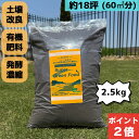 【3日20時よりPT2倍!】スーパーグリーンフード 2.5キロ 2.5kg 芝生用肥料 安心 安全 芝生の肥料 芝生 肥料 サッチ分解 芝 土壌改良剤 土壌改善 土壌改良 微生物 オーガニック 病気対策 病害予防 粉タイプ 活性 有機肥料 ゴルフ場 堆肥 芝 土壌改良材 メンテナンス 芝生肥料