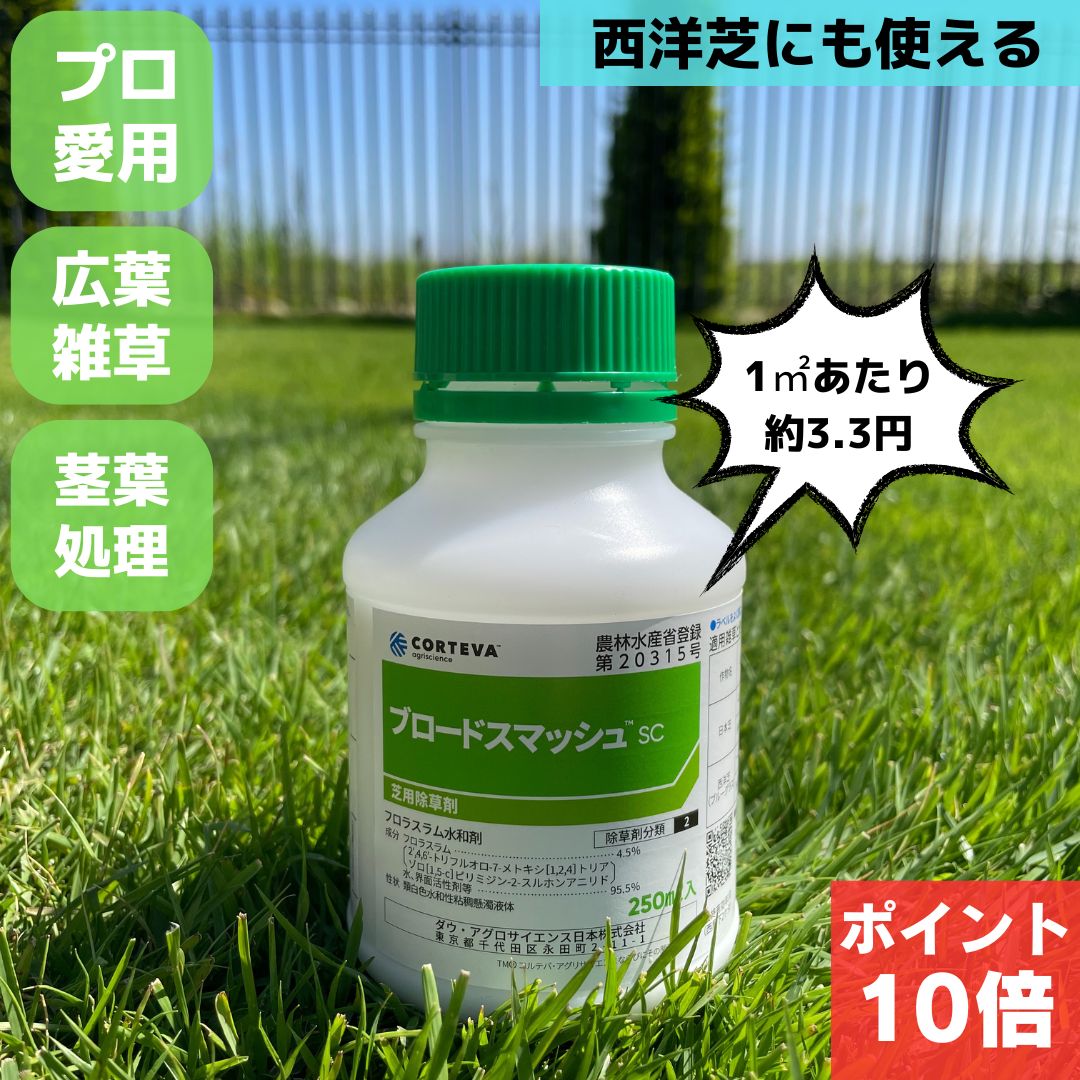 芝生用除草剤 芝生除草剤 除草剤 ブロードスマッシュ 250ⅯL 広葉雑草 タンポポ カタバミ カラスノエンドウ ゴルフ場も使用 雑草対策 日本芝 西洋芝 高麗芝 野芝 幅広い広葉雑草対策におすすめです。低温期散布でも優れた効果が期待でき、日本芝、西洋芝（ブルーグラス）どちらにも使用できます。説明書あり ブロードスマッシュの秘密 ALS酵素活性阻害に属する除草剤で、茎葉処理により浸透移行し雑草の生長点でアミノ酸合成を阻害し優れた効果を示します。その効果は葉色に現れ（黄化→赤紫→黒色に変化）、完全枯死までには、春期で2〜3週間、秋期で4〜6週間が必要です。日本芝、西洋芝（ブルーグラス）どちらにも使用できます。 幅広い雑草に効果があります！ 西洋芝にも使用可能です！ ゴルフ場のグリーンにも使用される最高級クオリティ 雑草を手で抜くのに限界を感じた方 いろんな種類の広葉雑草が生える方 幅広い雑草に対応した除草剤を探している方 芝生を愛する皆様こんにちは！芝生の栄養お届け定急便です。本商品は主にゴルフ場のグリーン用で重宝されている茎葉処理の除草剤です。対象は広葉雑草になります。茎葉処理とは「すでに生えた雑草」に対して効果を発揮するタイプなので春、秋の散布がおススメです！対象の雑草「キク科」オオアレチノギク、タンポポ、ノボロギク、ヒメジョオン、ヒメムカシヨモギ「カタバミ科」カタバミ「ゴマノハグサ科」オオイヌノフグリ、タチイヌノフグリ「シソ科」ヒメオドリコソウ、ホトケノザ「ナデシコ科」オランダミミナグサ、ツメクサ「マメ科」カラスノエンドウ、シロツメクサ最高気温が25度超えている時期に散布すると薬害が発生する事がありますので十分にお気をつけください。推奨平米薬量0.02～0.08ML推奨平米水量150～200ML 【在庫がある場合】2営業日以内に発送1