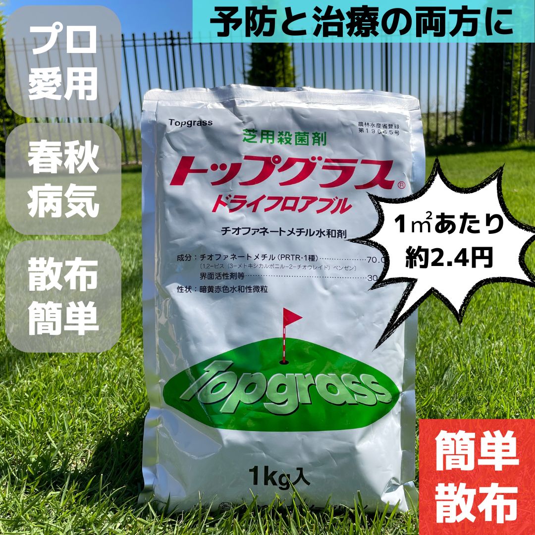 コラトップ粒剤5 3kg 稲 殺菌剤 農薬 水稲 イN 代引不可