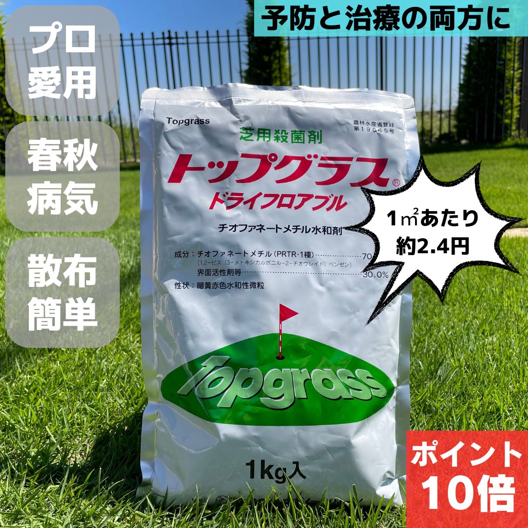 Zボルドー銅水和剤 500g 殺菌剤 ( 園芸殺菌剤 ガーデン用品 農業用 家庭菜園 病気 対策 園芸用殺菌剤 家庭用 農薬 薬剤 畑 農業資材 園芸用品 園芸用資材・雑品 農業用資材 園芸 農業 ガーデニング ガーデニング用品 )