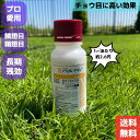 芝生用殺虫剤 アセルプリン 100ml 幼虫 スジキリヨトウ シバツトガ タマナヤガ 高麗芝 野芝 西洋芝 害虫 駆除 普通物