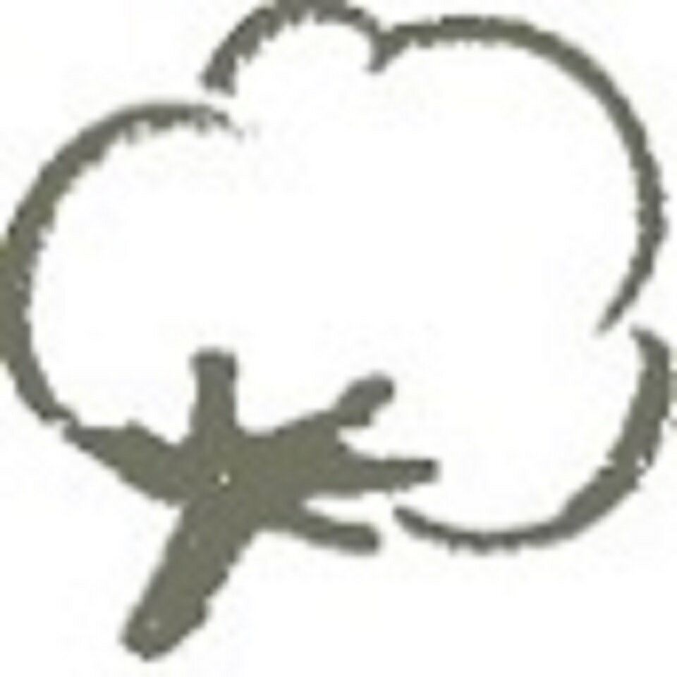 Shop icon